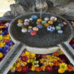 miraiku20230320_10_5