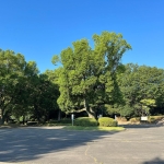 miraiku20230731_10_3